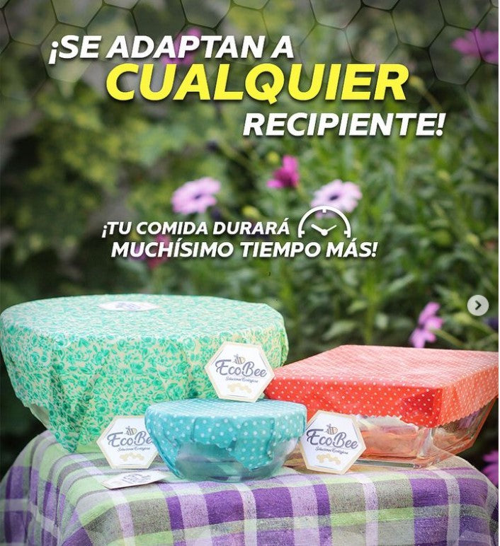 🎄 Regalo Navidad 1  Ecobee 🎁